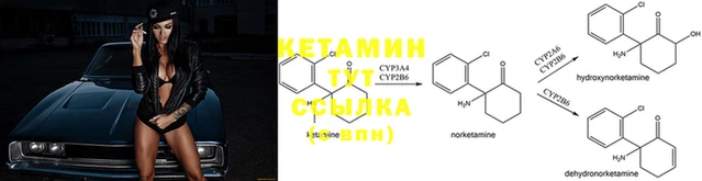 2c-b Волосово