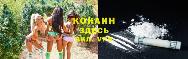 стаф Вязьма