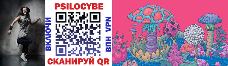 Псилоцибиновые грибы Magic Shrooms  MEGA зеркало  Дальнереченск 