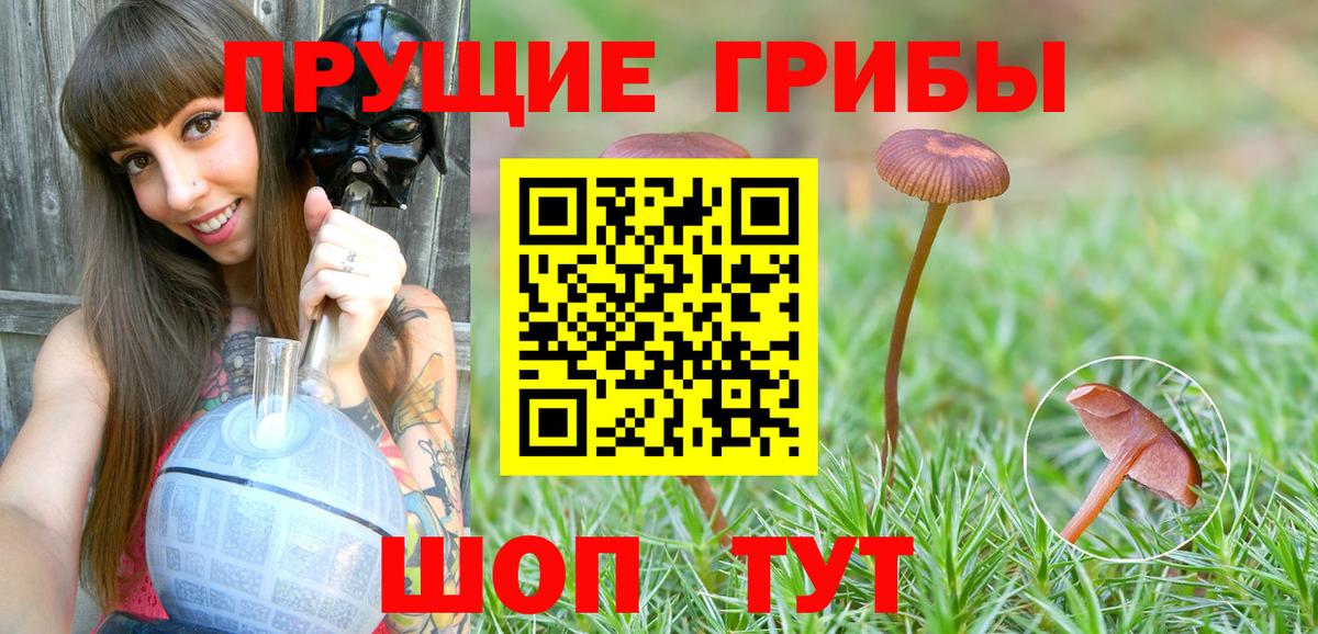 Галлюциногенные грибы прущие грибы Дальнереченск