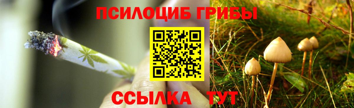 Дальнереченск  Галлюциногенные грибы мухоморы  Вход с VPN 